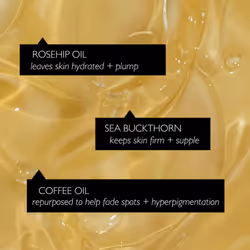Jumbo Face Oil With Coffee Oil 60ml - Natural Hydrating Facial Oil - Vitamin C, Rosehip Oil Fades Dark Spots + Sea Buckthorn Keeps Skin Supple - Vegan