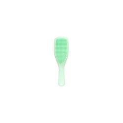 Tangle Teezer The Wet Detangler Hairbrush, Mint Karma