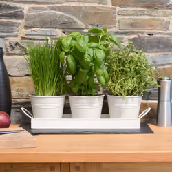 Set of 3 Metal Herb Plant Pots with Drip Tray by CKB Ltd - Traditional Indoor Windowsill Coloured Planter Box for The