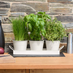 Set of 3 Metal Herb Plant Pots with Drip Tray by CKB Ltd - Traditional Indoor Windowsill Coloured Planter Box for The