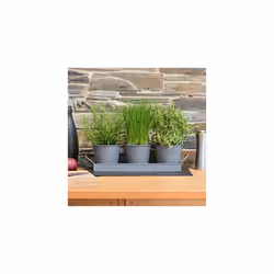 Set of 3 Metal Herb Plant Pots with Drip Tray by CKB Ltd - Traditional Indoor Windowsill Coloured Planter Box for The Kitchen ...
