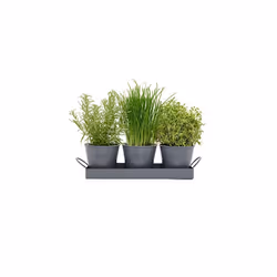 Set of 3 Metal Herb Plant Pots with Drip Tray by CKB Ltd - Traditional Indoor Windowsill Coloured Planter Box for The Kitchen Grow Your Own Herbs for
