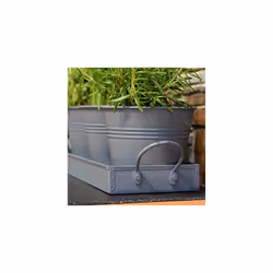 Set of 3 Metal Herb Plant Pots with Drip Tray by CKB Ltd - Traditional Indoor Windowsill Coloured Planter Box for The Kitchen Grow Your Own Herbs for
