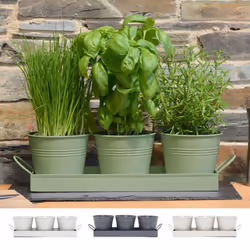 Set of 3 Metal Herb Plant Pots with Drip Tray Traditional Indoor Windowsill Coloured Planter Box for The Kitchen Grow Your Ow ...