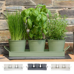 Set of 3 Metal Herb Plant Pots with Drip Tray Traditional Indoor Windowsill Coloured Planter Box for The Kitchen Grow Your Own Herbs for Cooking (Sage