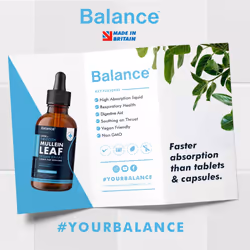 Mullein Leaf Liquid Drops - 60ml for 2 Month Supply - High Strength - Vegan - 60 Servings - Premium Mullein Leaf Extract