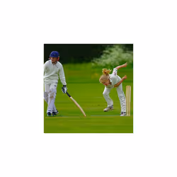 Toys Junior Cricket Set Size 3 Wooden Cricket Bat Set Kids Cricket Sports Training Set Outdoor Sports Equipment Garden Games for Kids Camping and