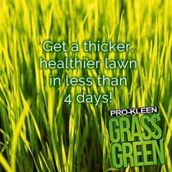 Lawn Feed Fertiliser Food Grass Green Nutrients - 1 x 2.5KG