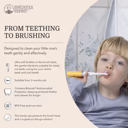 Baby Electric Sonic Toothbrush, Antimicrobial Protection, Suitable from 3 Months, Ludo Lion
