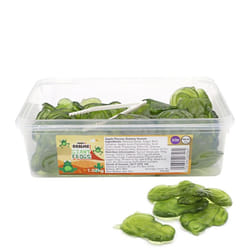 Candy Realms Giant Frogs 1.02KG Tub - Gummy Sweets