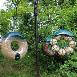 Hanging Wild Bird Feeder - 3pcs Seed, Nut and Fat Ball Donut style