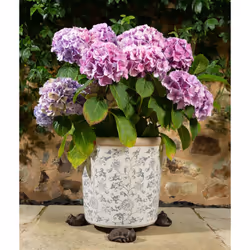 Jardinopia PF0034 garden statue Animal garden statue Black 3 pc(s) - Additional view 5