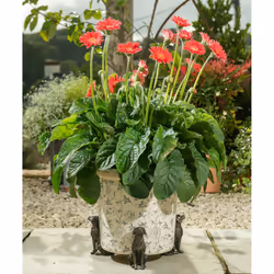 Jardinopia PF0006 garden statue Animal garden statue Bronze 3 pc(s) - Additional view 4