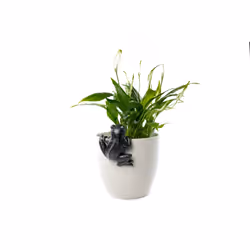Jardinopia PB0004 planter accessory Pot hanger decoration