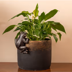 Jardinopia PB0004 planter accessory Pot hanger decoration - Additional view 7