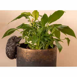 Jardinopia PB0005 planter accessory Planter hanger - Additional view 8