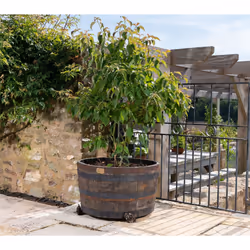 Jardinopia PF0007 planter accessory Feet - Additional view 8