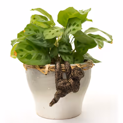Jardinopia PB0010 planter accessory Pot hanger decoration