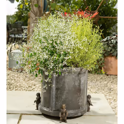 Jardinopia PF0097 garden statue Animal garden statue Bronze 3 pc(s) - Additional view 5