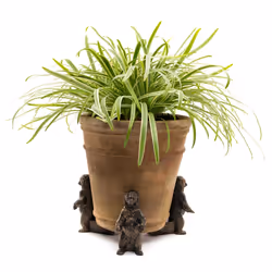 Jardinopia PF0097 garden statue Animal garden statue Bronze 3 pc(s) - Additional view 6