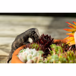Jardinopia PB0035 garden statue Animal garden statue Bronze 1 pc(s) - Additional view 5