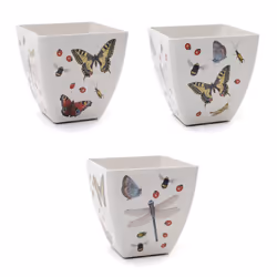 Bamboo Eco Plant Pot Compostable Insects Design Jardinopia