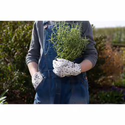 Jardinopia GWD101DC0003 handwear Gloves Unisex White
