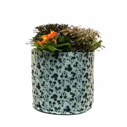 Jardinopia EPFDMGN23 flowerpot Green 1 pc(s)
