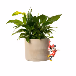 Pot Hanger Ornament Mickey Mouse Disney Minnie Plant Buddy In/Outdoor