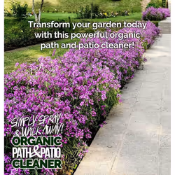 ProKleen Simply Spray Organic Path & Patio Cleaner - 20L