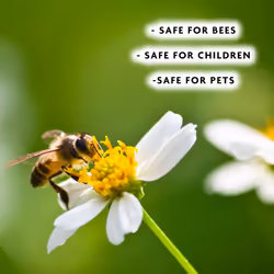 Spear Jackson Bug & Mildew Control 1L