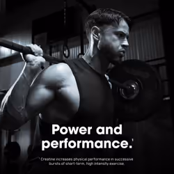 Platinum Creatine Plus, Advanced Food Supplement to Increase Power and Performance, with Aquamin Magnesium for Electrolyte Balance, Pineapple Flavour, - Additional view 2