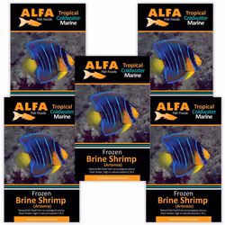 Alfa Frozen Brine Shrimp / Artemia - x5