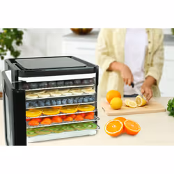 Nebula Food Dehydrator with 6 Stainless Trays, Digital Temperature