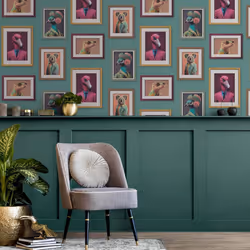 Fantastic Animals Birds Picture Photo Frame Gallery Teal Wallpaper