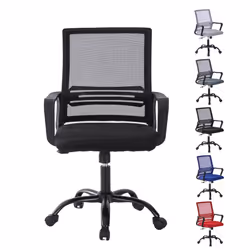 Adjustable Swivel MESH Chair with Cushion&Support - Black