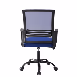 Adjustable Swivel MESH Chair with Cushion&Support - Blue