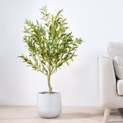 Artificial Olive Tree with Plastic Planter & Moss - 100CM
