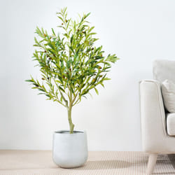 Artificial Olive Tree with Plastic Planter & Moss - 100CM