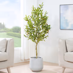 Artificial Olive Tree with Plastic Planter & Moss - 120CM
