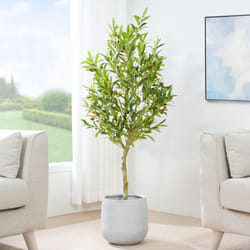Artificial Olive Tree with Plastic Planter & Moss - 120CM
