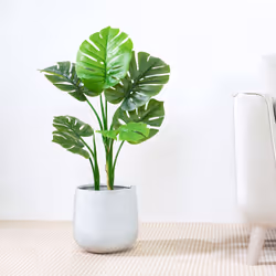 Artificial Monstera Tree with Plastic Planter&Moss - 80CM