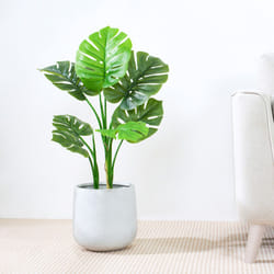 Artificial Monstera Tree with Plastic Planter&Moss - 80CM