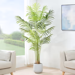 Artificial Palm Tree with Plastic Planter and Moss - 160CM