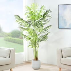 Artificial Palm Tree with Plastic Planter and Moss - 160CM