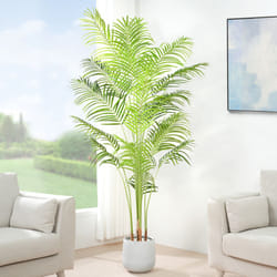 Artificial Palm Tree with Plastic Planter and Moss - 180CM