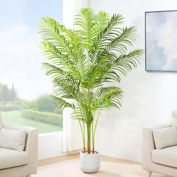 Artificial Palm Tree with Plastic Planter and Moss - 200CM