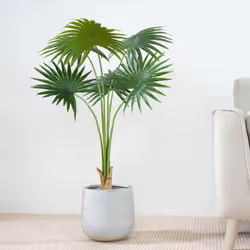 Artificial Fan Palm  with Plastic Planter and Moss - 100CM