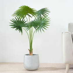 Artificial Fan Palm  with Plastic Planter and Moss - 100CM
