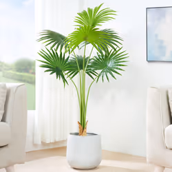 Artificial Fan Palm with Plastic Planter and Moss - 120CM